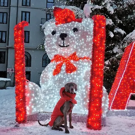 Gentiana Psdcir0037 Apartamento