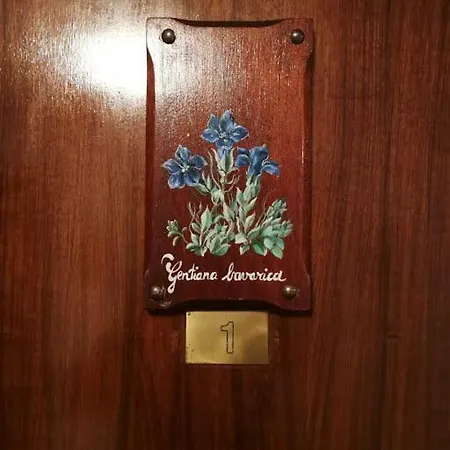 Gentiana Psdcir0037 *