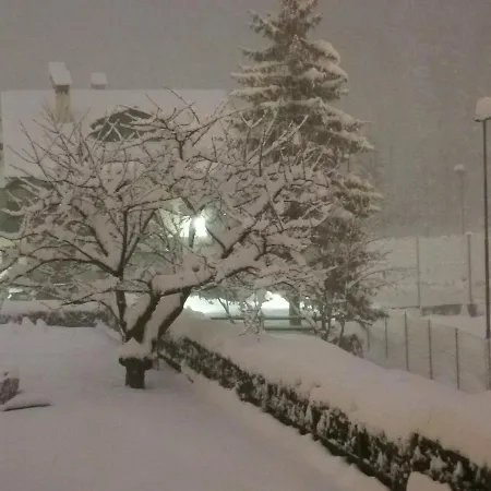 Gentiana Psdcir0037 * Pré-Saint-Didier